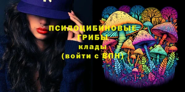 МДПВ Слюдянка
