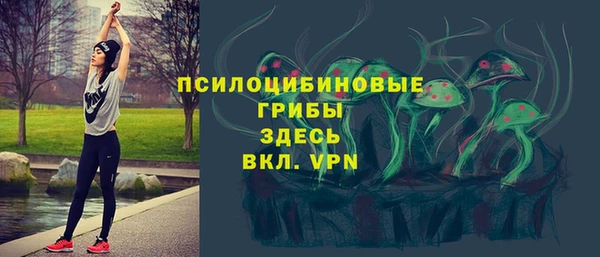 герыч Снежногорск