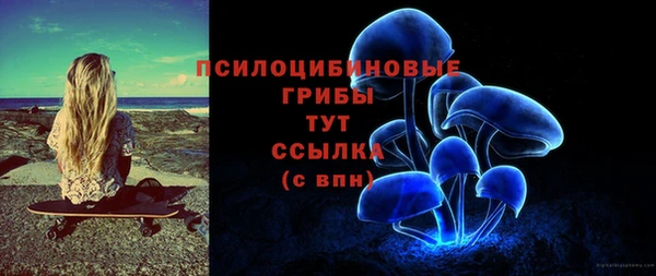 герыч Снежногорск