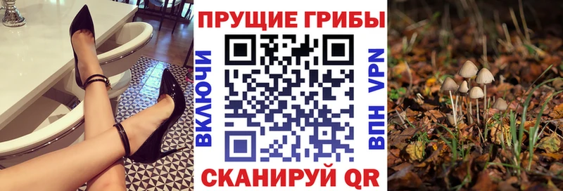 Галлюциногенные грибы Psilocybe наркотики Дзержинск