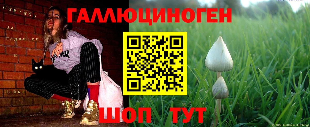 Дзержинск  что такое наркотик  Вход с VPN  Галлюциногенные грибы Magic Shrooms 