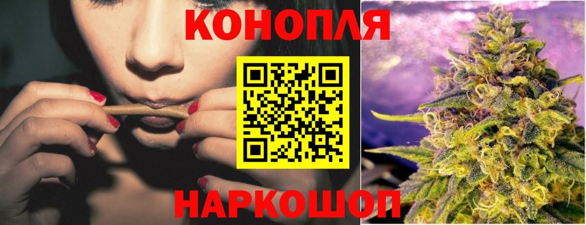 Конопля план Дзержинск